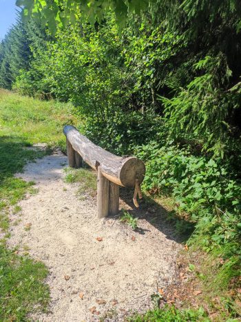 Weg der Sinne Haag am Hausruck: Baumtelefon